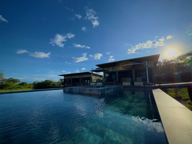 Tarangire Elephant Springs Camp · 泳池