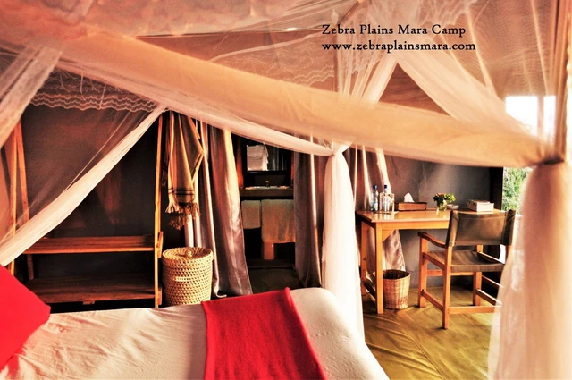 Zebra Plains Mara Camp · 客房