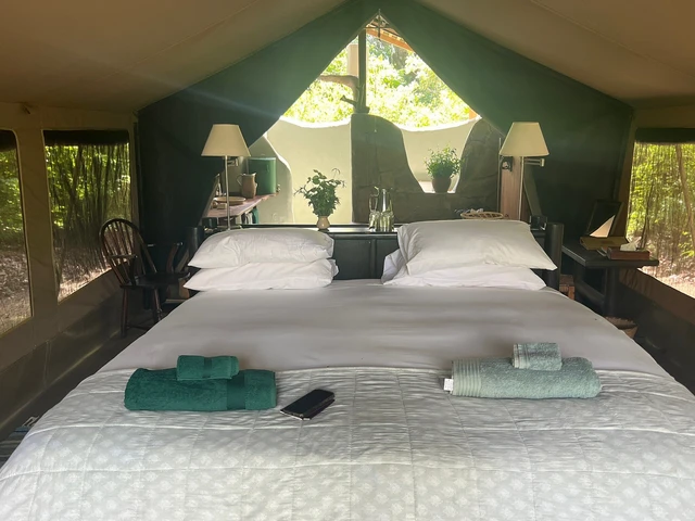 Kitich Forest Camp · 客房