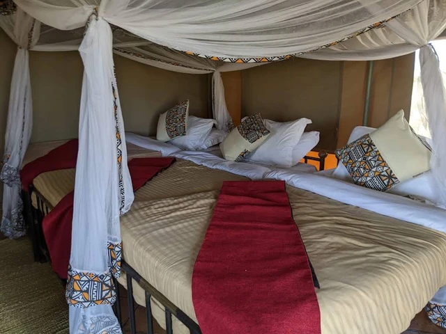 Africa Safari Serengeti Ikoma Camp · 客房