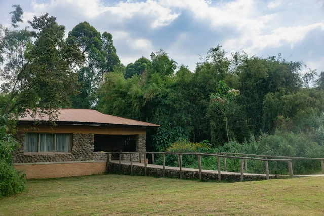 Mountain Gorilla View Lodge · 外观与环境