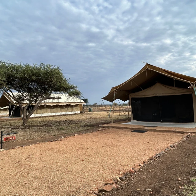 Serengeti Tortilis Camp · 外观与环境