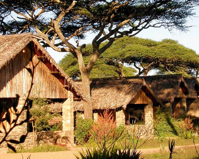 Ndutu Safari Lodge · 外观与环境