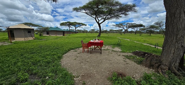 Misako Ndutu Migration Camp · 餐厅与用餐环境