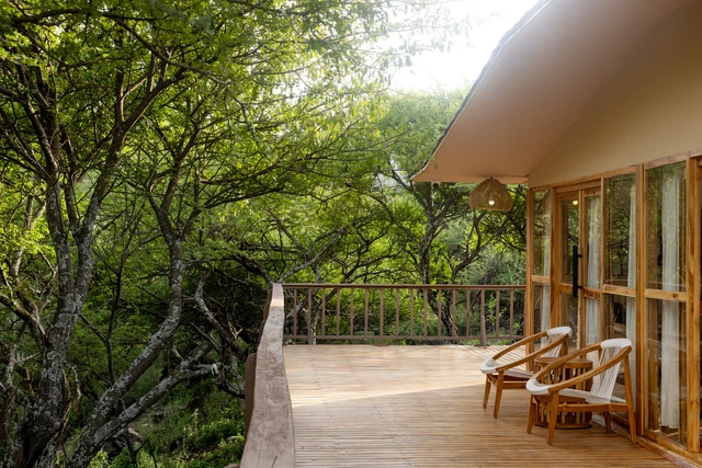 Naserian Safari Camp · 露台与景观