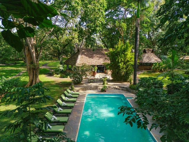 Rivertrees Country Inn · 泳池
