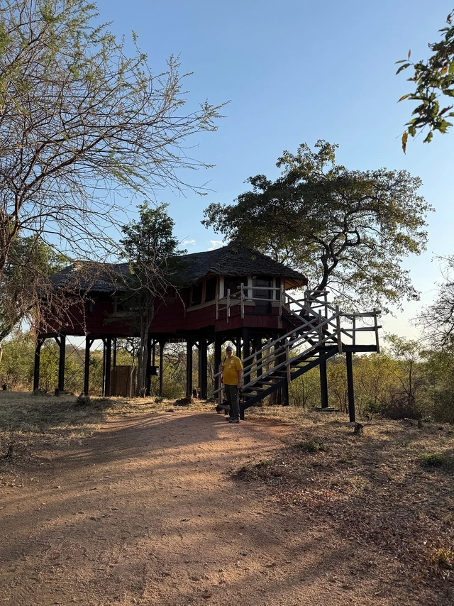 Elewana Tarangire Treetops · 外观与环境