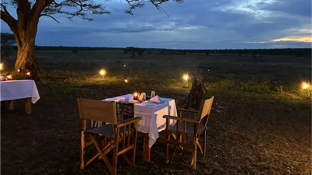 Africa Safari Serengeti Kusini Camp · 住宿环境