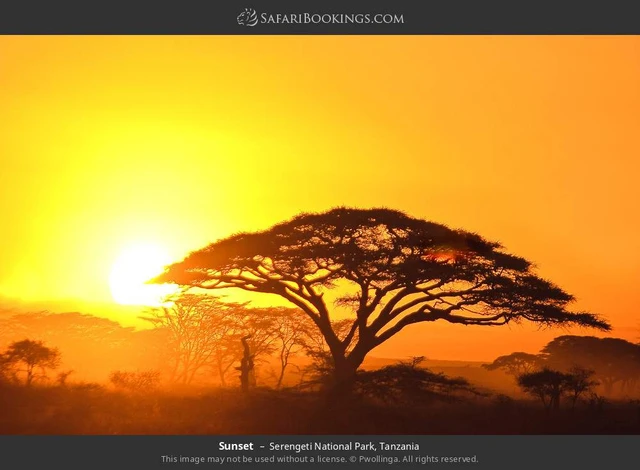 SafariBookings 路线参考影像