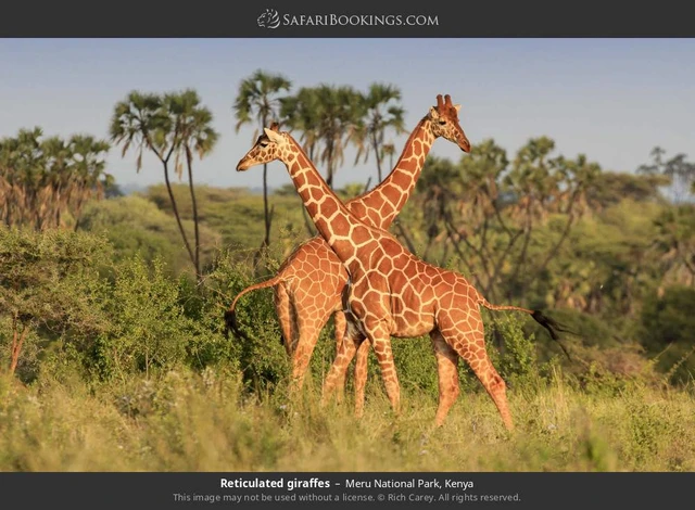 SafariBookings 路线参考影像
