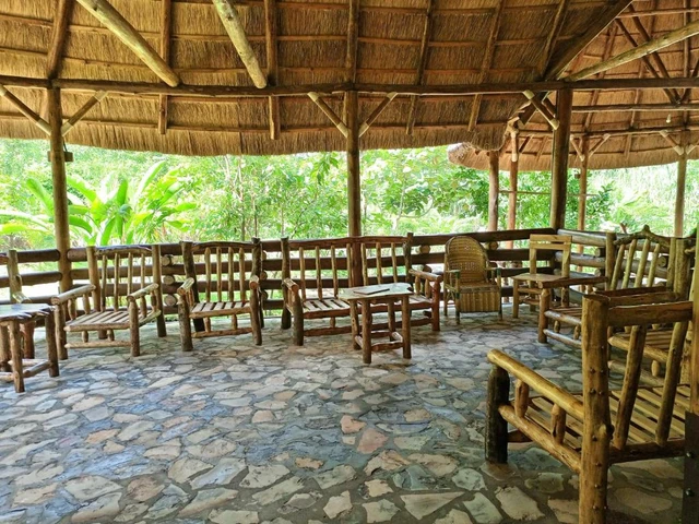 Chimpanzee Capital Safari Lodge · 休息区