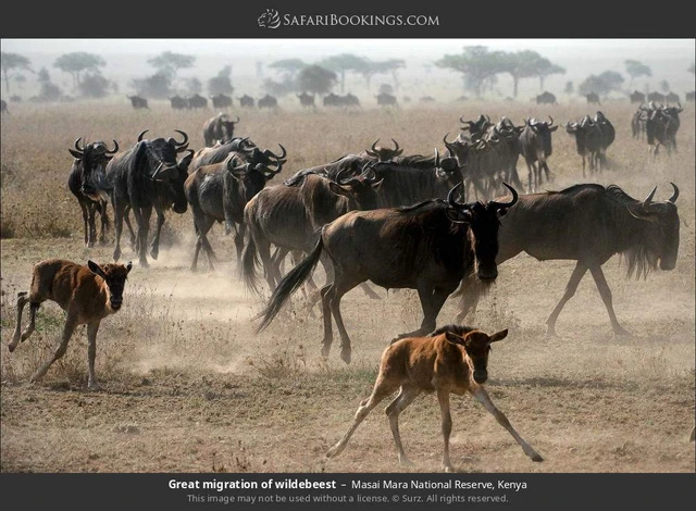 SafariBookings 路线参考影像