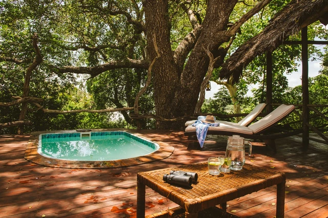 Rufiji River Camp · 泳池