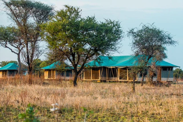 Pori Pori Lodges & Camps · 外观与环境