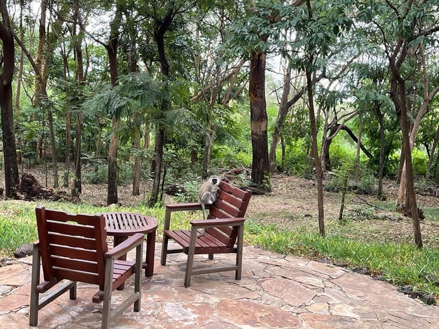 Amboseli Serena Safari Lodge · 露台与景观