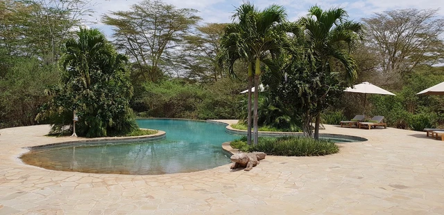 Finch Hattons Luxury Safari Camp · 泳池