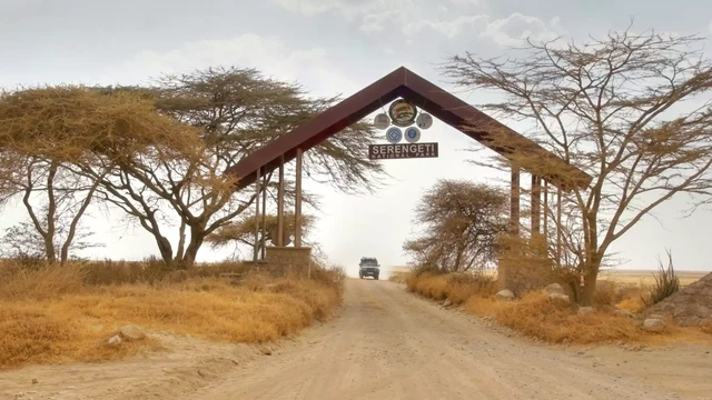 Africa Safari Ngorongoro Ndutu Camp · 外观与环境
