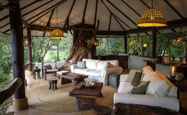 Kitich Forest Camp · 休息区