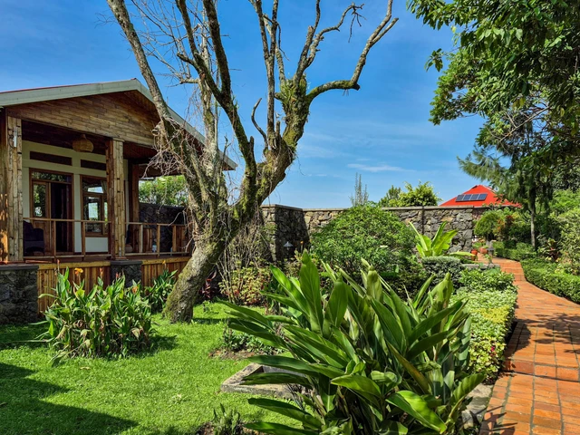 Nkuringo Bwindi Gorilla Lodge · 外观与环境