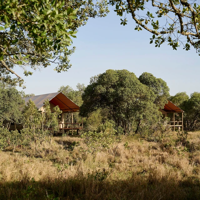 Tambarare Camp, an A&K Sanctuary · 外观与环境