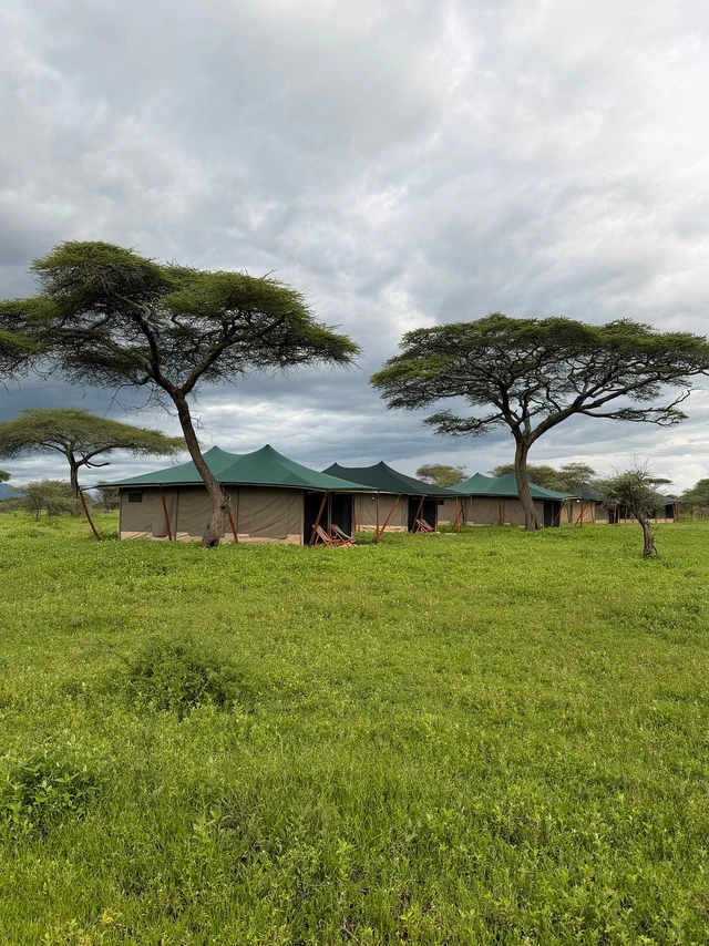 Misako Ndutu Migration Camp · 外观与环境