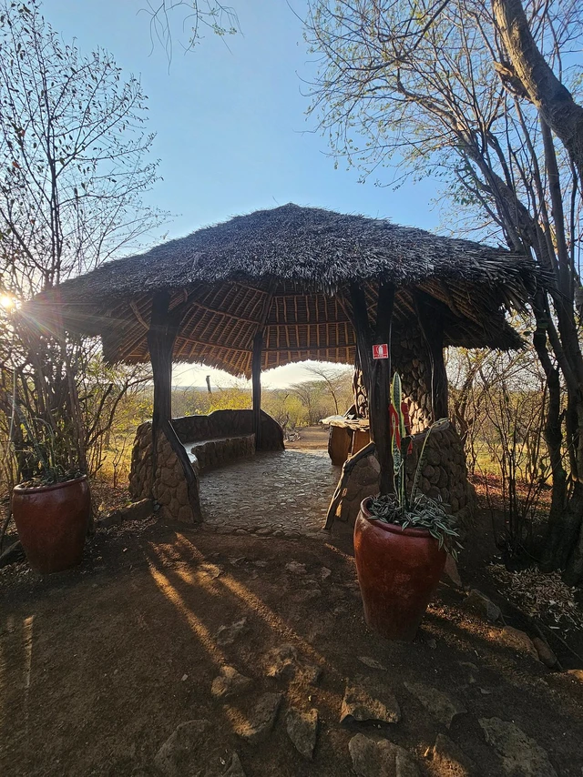 Amani Mara Camp · 住宿环境