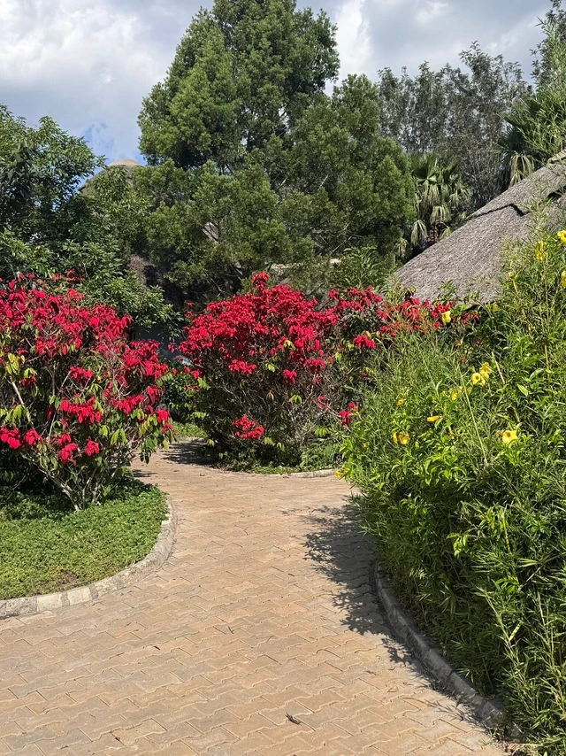 Emburara Farm Lodge · 住宿环境