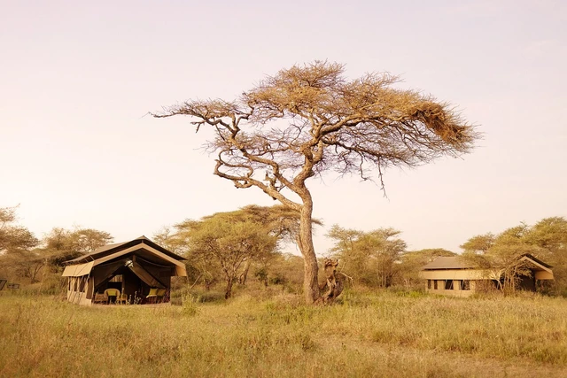 Ndutu Wilderness Camp · 外观与环境