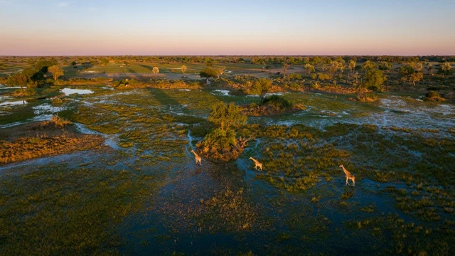 Xigera Safari Lodge · 周边景观