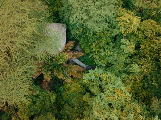 Rhino River Camp · 外观与环境