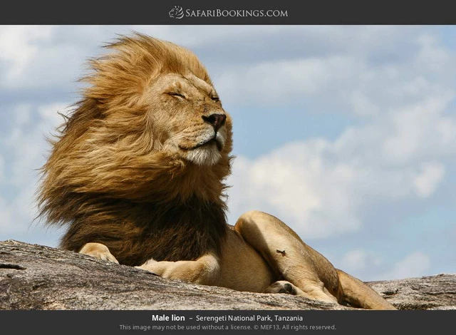 SafariBookings 路线参考影像