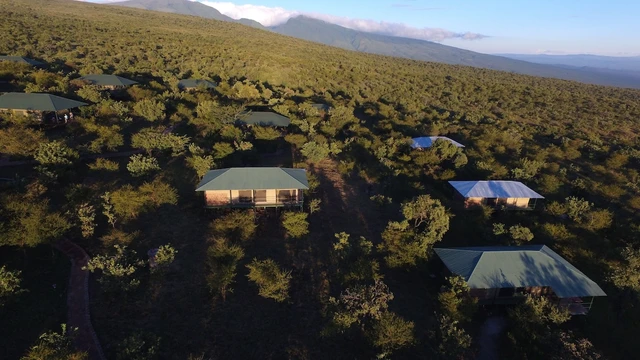 Ngorongoro Wild Camp · 外观与环境