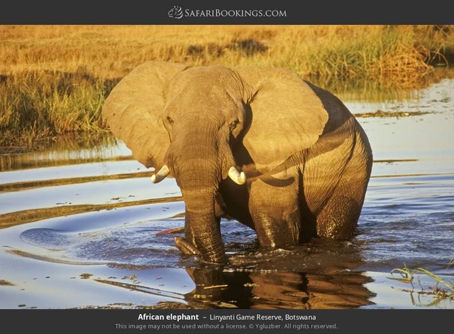 SafariBookings 路线参考影像