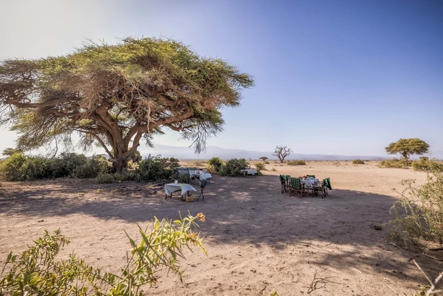 Elewana Tortilis Camp Amboseli · 住宿环境