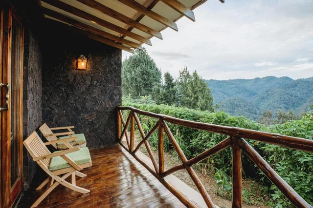 Kaara Gorilla Lodge · 露台与景观