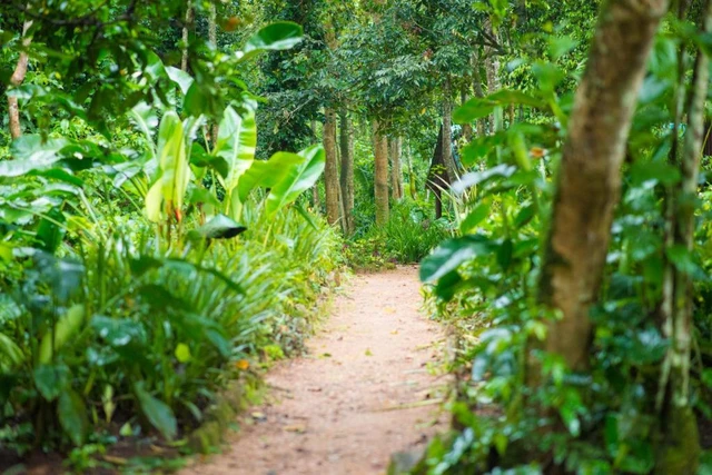 Kibale Forest Camp · 外观与环境