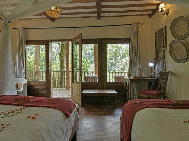 Four Gorillas Lodge · 客房