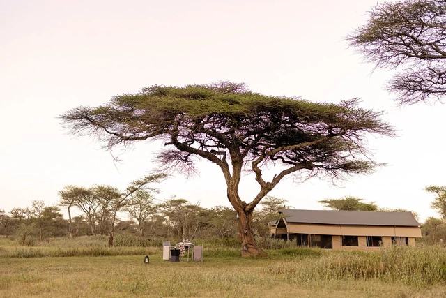 Ndutu Wilderness Camp · 住宿环境