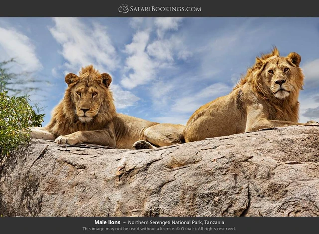 SafariBookings 路线参考影像