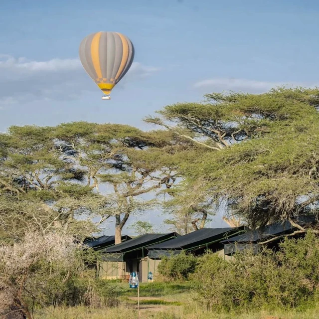 Ang'ata Migration - Ndutu Camp · 外观与环境