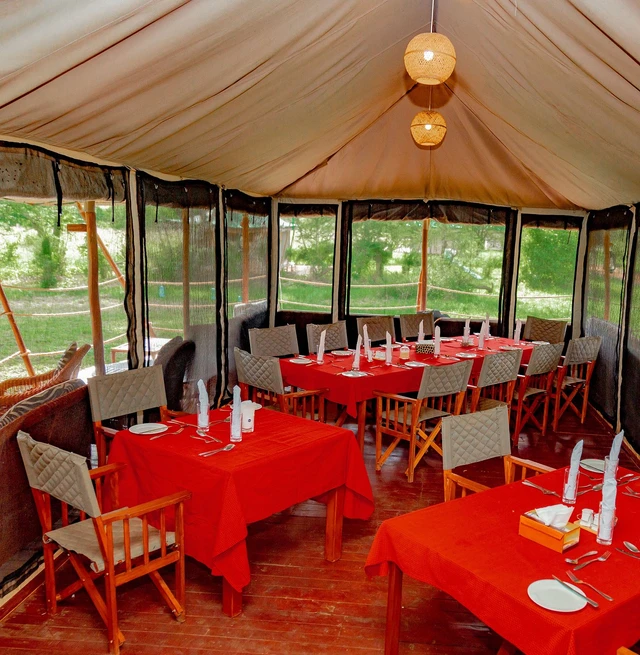 Embalakai Serengeti Camp · 餐厅与用餐环境