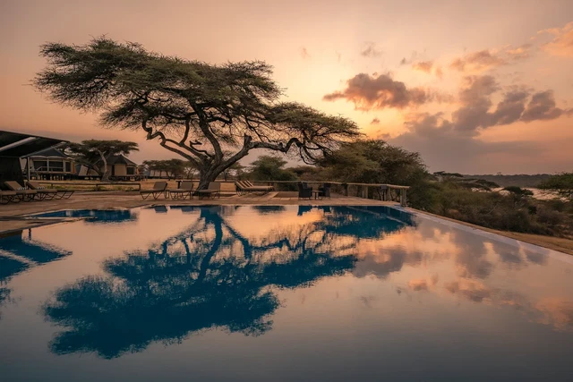 Lake Masek Tented Lodge · 泳池