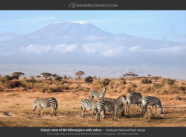 SafariBookings 路线参考影像