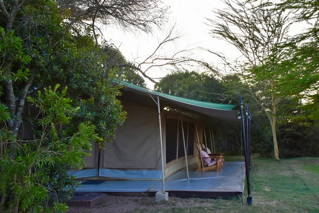 Asilia Ol Pejeta Bush Camp · 客房
