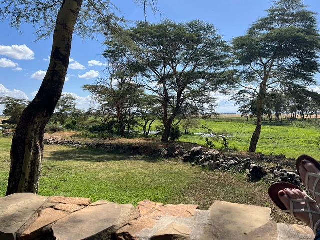 Amboseli Serena Safari Lodge · 住宿环境
