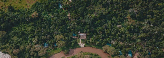 Ishasha Wilderness Camp · 外观与环境