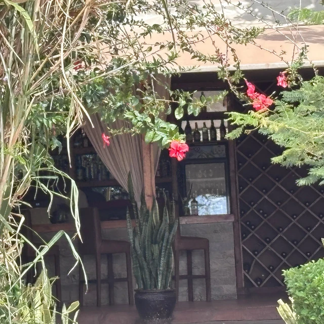 Zebra Plains Mara Camp · 外观与环境
