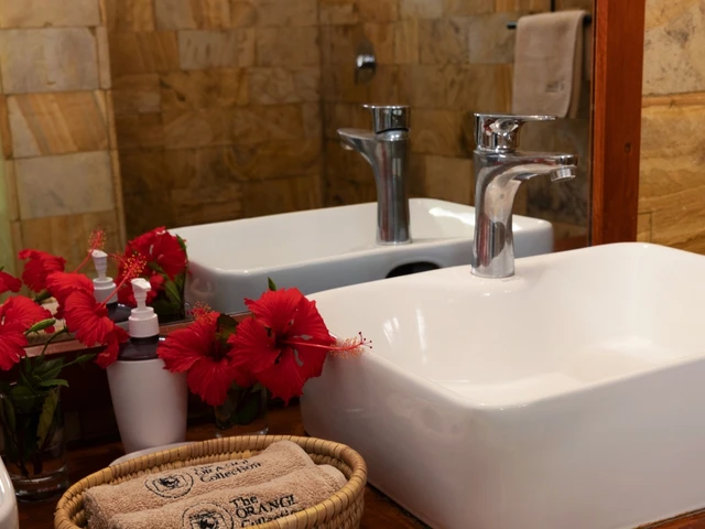 Ngorongoro Marera Mountain View Lodge · 浴室