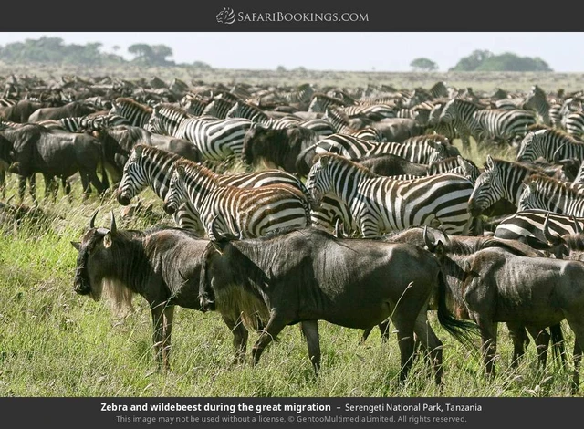 SafariBookings 路线参考影像