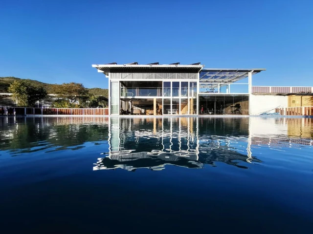 Jambo Mara Safari Lodge · 泳池